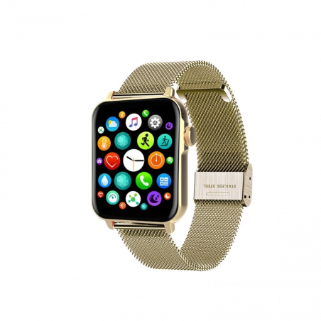 Montre Connectée SMARTY mixte - Level - SW035G03